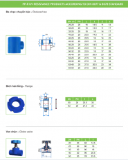 Ống nhựa và Phụ kiện PPR 2 lớp chống tia UV _TIỀN PHONG