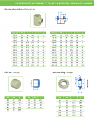 Ống nhựa và Phụ kiện PPR_TIỀN PHONG